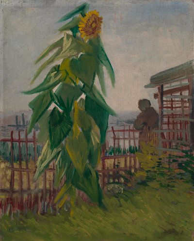 Allotment with Sunflower by Vincent van Gogh